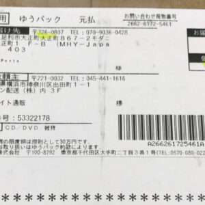 96676 Plus doll