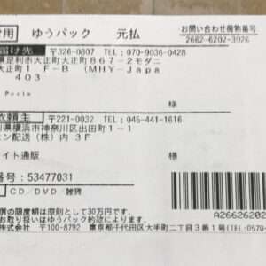 98240 Plus doll