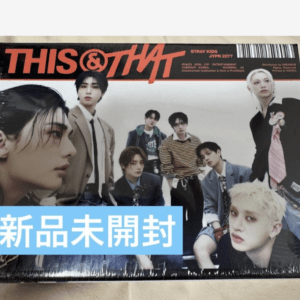 98589 THIS&THAT THIS ver Stray Kids