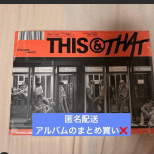 98734  straykids this&that regular edition that ver.