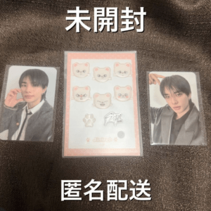 98779 Stray Kids SKZ Hyunjin Jiniret Puffy Sticker Photocard