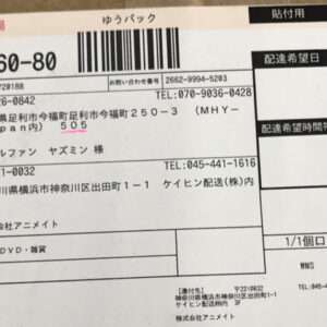 100594 Bag