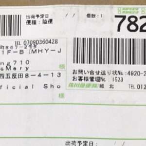101870 Plus doll