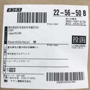 102498 Card pokemon