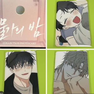 100102 Korean BL Card