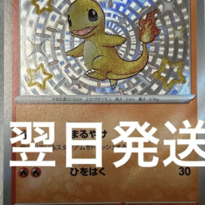 100399　Charmander S Pokémon Card
