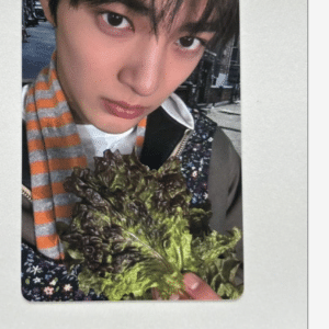 100775 CORTIS Trading Card: Gonho
