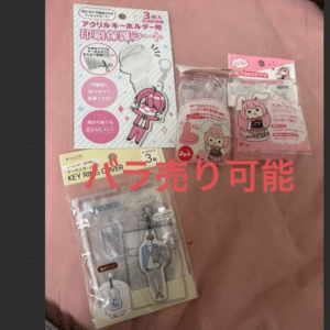 100786 Acrylic Keychain Protective Sheet/Cover 3-Piece Set