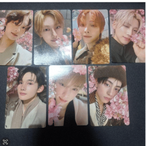 101165  &TEAM Photocard Set of 7 (Trading Cards)