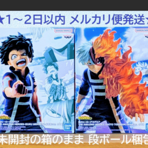 101738 My Hero Academia: Izuku Midoriya & Shoto Todoroki (Sports Festival Ver.)