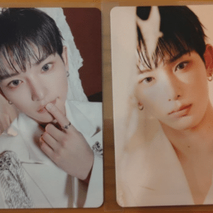 102280 HARUA trading card 2-piece set