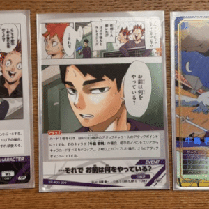 102771 Haikyu!! Wakatoshi Ushijima Card 3-Piece Set (Baboka)